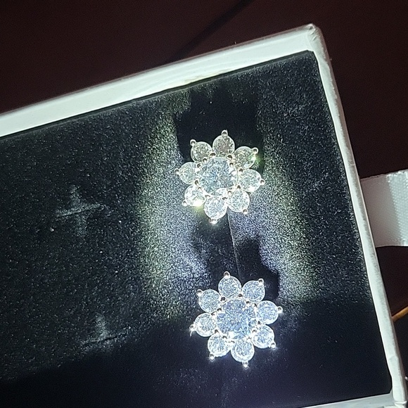 Huge 10ct authentic moissanite earing positive grantees on diamond tester - Picture 10 of 11